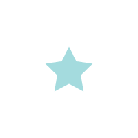 Icon White Star
